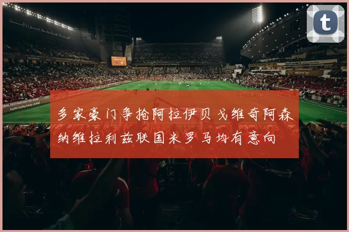 多家豪门争抢阿拉伊贝戈维奇阿森纳维拉利兹联国米罗马均有意向