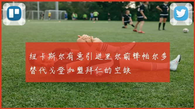 纽卡斯尔有意引进里尔前锋帕尔多替代戈登加盟拜仁的空缺